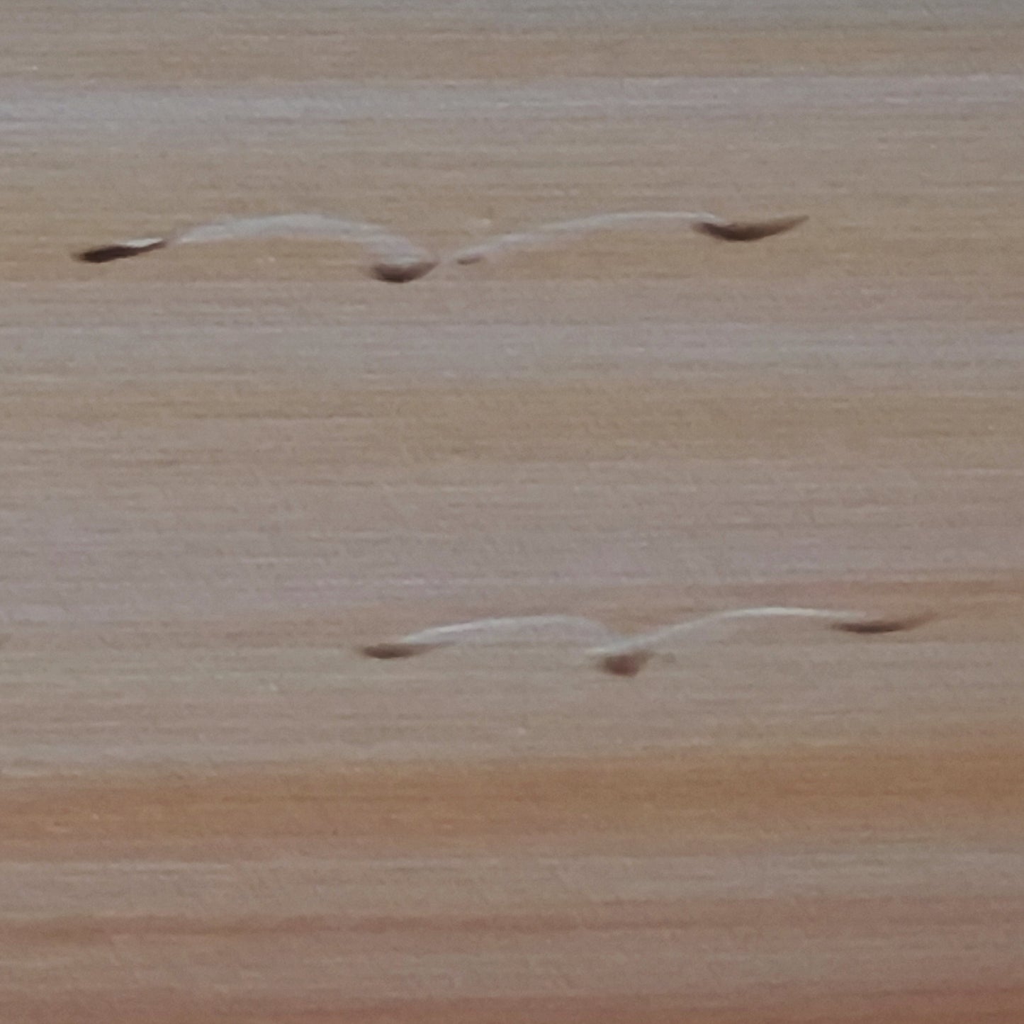 Detail of Eventide Flux painted birds against a soft peach sky