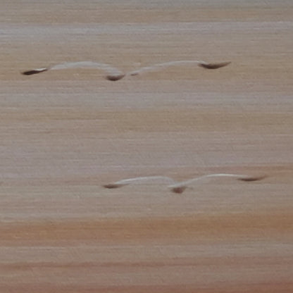 Detail of Eventide Flux painted birds against a soft peach sky